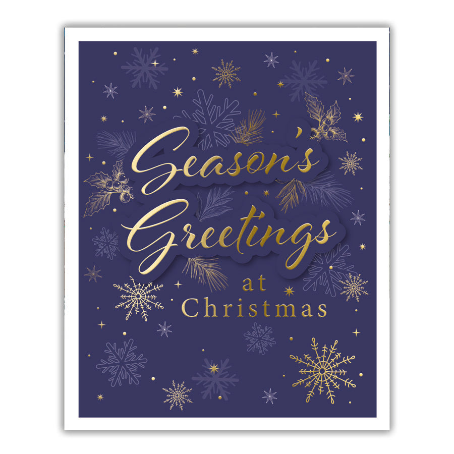 Tiger Feet Christmas Boxed Cards Medium 22pk - Tiger Feet Ireland