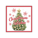 Tiger Feet Christmas Square Boxed Cards 40pk - Tiger Feet Ireland