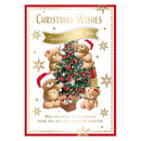 Prelude C50 Christmas Cards Open 6pk - Tiger Feet Ireland