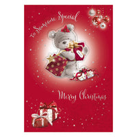 Prelude C50 Christmas Cards Someone Special 6pk - Tiger Feet Ireland