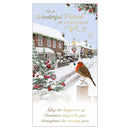 Prelude C55 Christmas Cards Friend 6pk - Tiger Feet Ireland