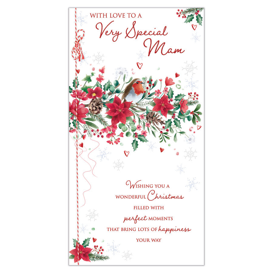 Prelude C55 Christmas Cards Mam 6pk - Tiger Feet Ireland