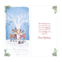 Prelude C55 Christmas Cards Partner 6pk - Tiger Feet Ireland