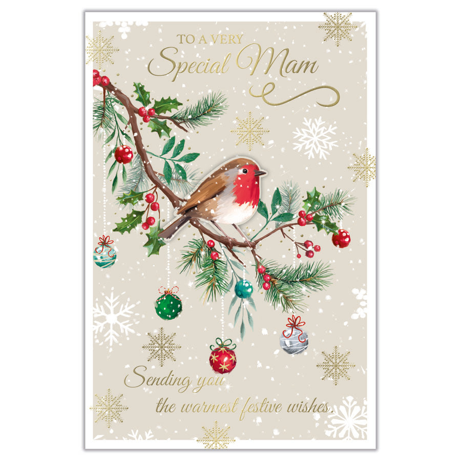 Prelude C75 Christmas Cards Mam 6pk - Tiger Feet Ireland