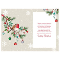 Prelude C75 Christmas Cards Mam 6pk - Tiger Feet Ireland