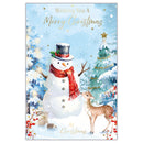 Prelude C75 Christmas Cards Open 6pk - Tiger Feet Ireland