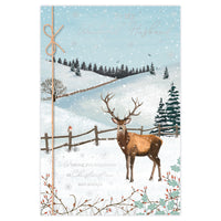 Prelude C75 Christmas Cards Husband 6pk - Tiger Feet Ireland
