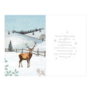 Prelude C75 Christmas Cards Open 6pk - Tiger Feet Ireland