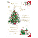 Prelude C75 Christmas Mam 6pk - Tiger Feet Ireland