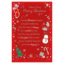 Prelude C75 Christmas Cards Open 6pk - Tiger Feet Ireland