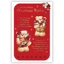 Prelude C75 Christmas Cards Open 6pk - Tiger Feet Ireland