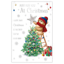 Prelude C75 Christmas Cards Open 6pk - Tiger Feet Ireland