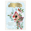 Prelude C90 Christmas Wife 6pk - Tiger Feet Ireland