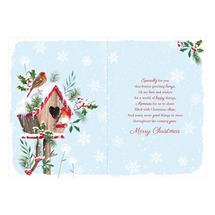 Prelude C90 Christmas Wife 6pk - Tiger Feet Ireland