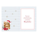 Prelude C90 Christmas Wife 6pk - Tiger Feet Ireland