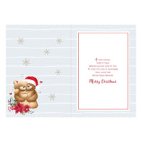 Prelude C90 Christmas Wife 6pk - Tiger Feet Ireland