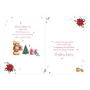 Prelude C90 Christmas Wife 6pk - Tiger Feet Ireland