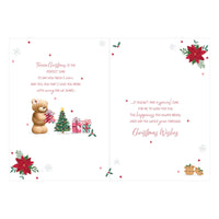 Prelude C90 Christmas Wife 6pk - Tiger Feet Ireland