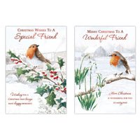 Poppyhill C50 Christmas Cards Friend 12pk - Tiger Feet Ireland