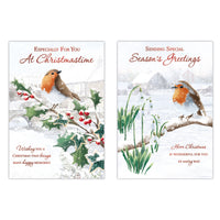 Poppyhill C50 Christmas Cards Open 12pk - Tiger Feet Ireland