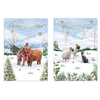 Poppyhill C50 Christmas Cards Open 12pk - Tiger Feet Ireland