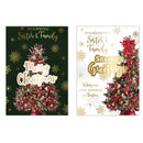 Poppyhill C50 Christmas Cards Sister & Family 12pk - Tiger Feet Ireland