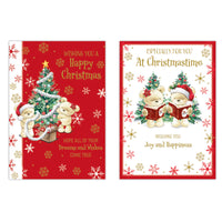 Poppyhill C50 Christmas Cards Open 12pk - Tiger Feet Ireland