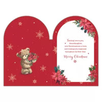 Prelude Platinum C75 Christmas Granddaughter 6pk - Tiger Feet Ireland
