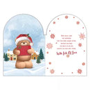 Prelude Platinum C75 Christmas Cards Boyfriend 6pk - Tiger Feet Ireland