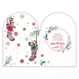 Prelude Platinum C75 Christmas Brother & SIL 6pk - Tiger Feet Ireland