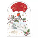 Prelude Platinum C75 Christmas All The Family 6pk - Tiger Feet Ireland