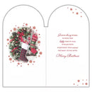 Prelude Platinum C55 Christmas Daughter & SIL 6pk - Tiger Feet Ireland