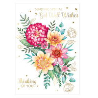 Prelude C50 Cards Get Well 6pk - Tiger Feet Ireland