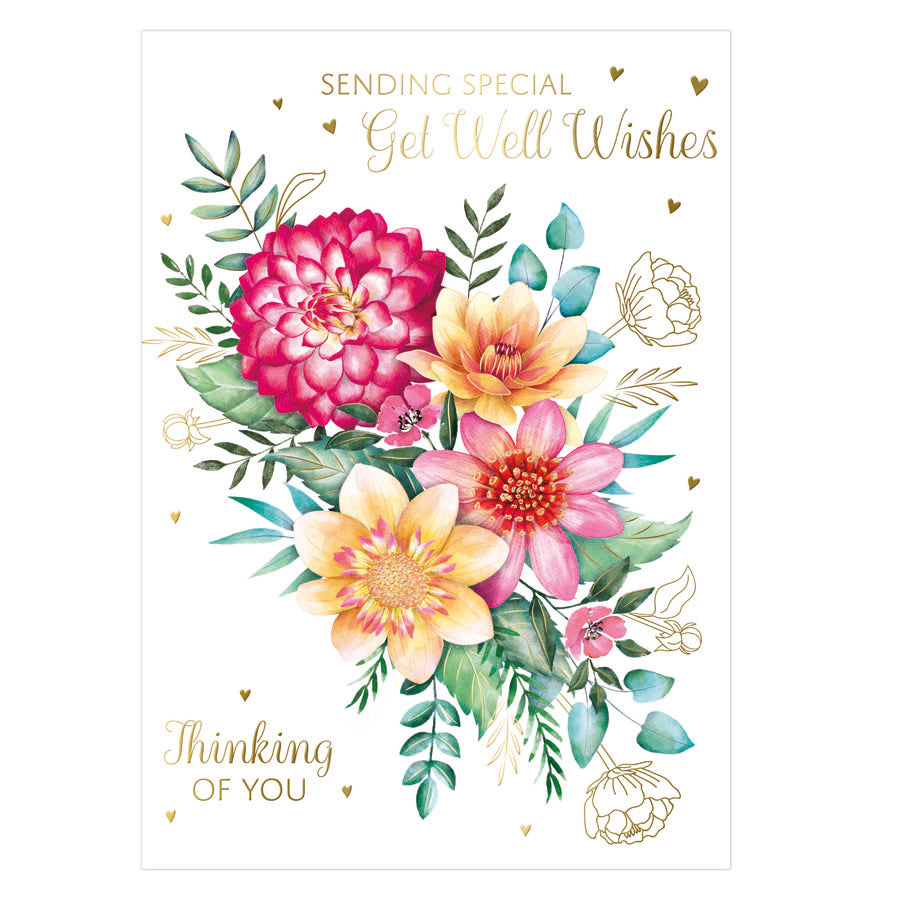 Prelude C50 Cards Get Well 6pk - Tiger Feet Ireland