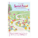 Prelude C75 Cards Birthday Friend 6pk - Tiger Feet Ireland