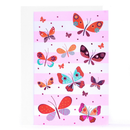 24pk C35 Individual Cards Blank - Tiger Feet Ireland