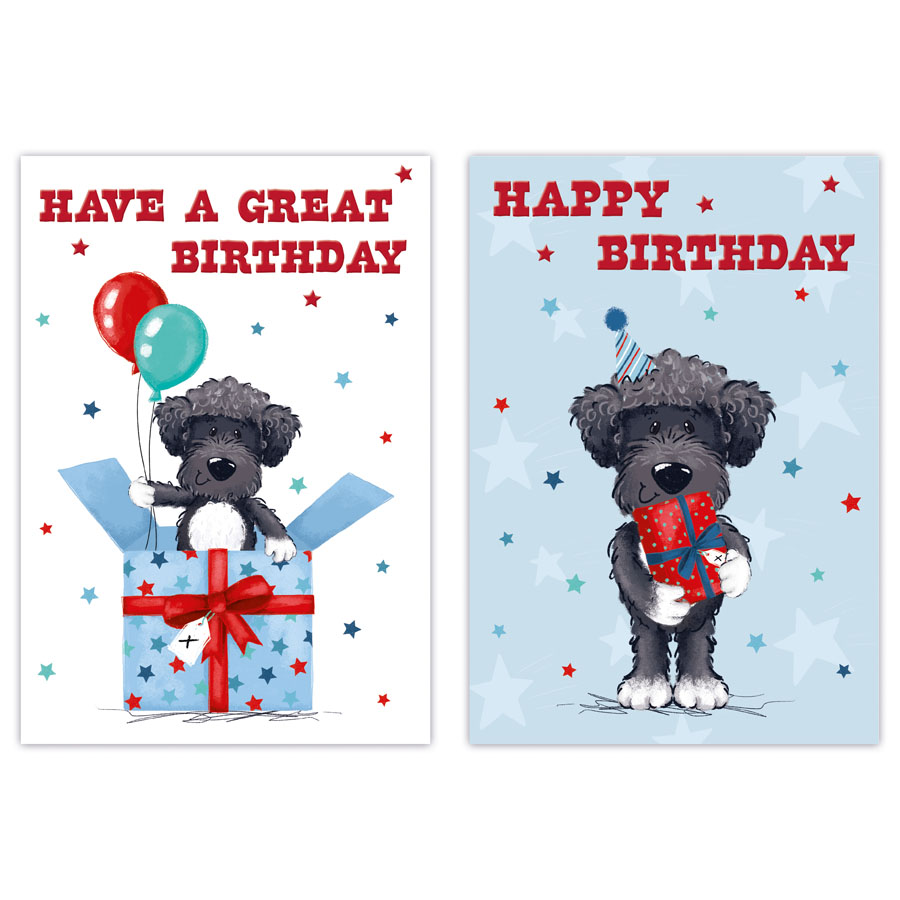 12pk Cards C50 Birthday Open - Tiger Feet Ireland