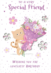 6pk Cards C50 Birthday Friend - Tiger Feet Ireland