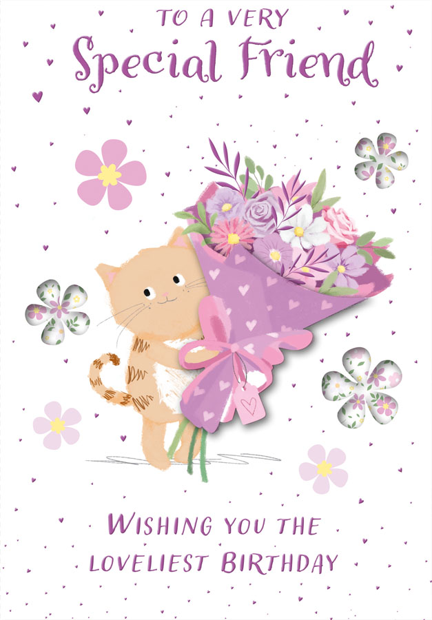 6pk Cards C50 Birthday Friend - Tiger Feet Ireland