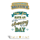 6pk Cards C55 Birthday Brother - Tiger Feet Ireland