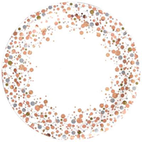 8ct Paper Plates 23cm Rose Gold Sparkling Fizz - Tiger Feet Ireland