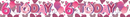6pk Banners Birthday Age 6 - Tiger Feet Ireland