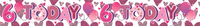 6pk Banners Birthday Age 6 - Tiger Feet Ireland