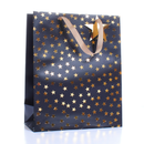 6pk Medium Gift Bags Stars - Tiger Feet Ireland