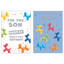 12pk Cards C50 Birthday Son - Tiger Feet Ireland