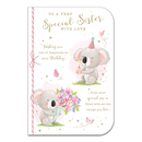 6pk Cards C75 Birthday Sister - Tiger Feet Ireland