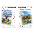12pk Cards C50 Birthday Open - Tiger Feet Ireland