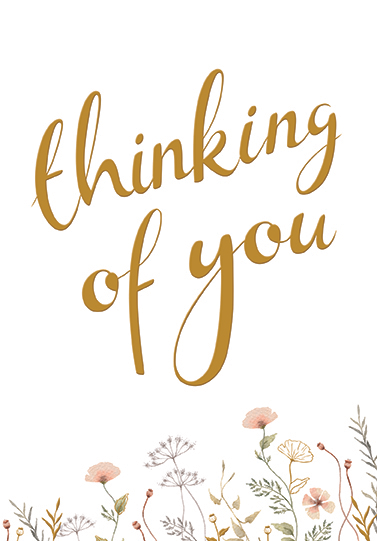 6pk Cards C50 Thinking Of You - Tiger Feet Ireland