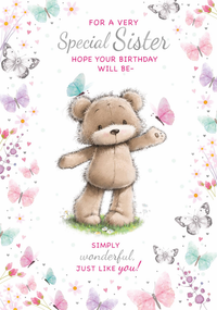 6pk Cards C50 Birthday Sister - Tiger Feet Ireland