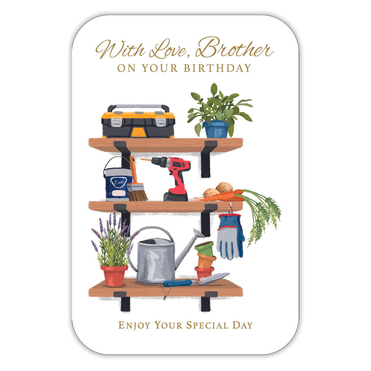 6pk Cards C75 Birthday Brother - Tiger Feet Ireland